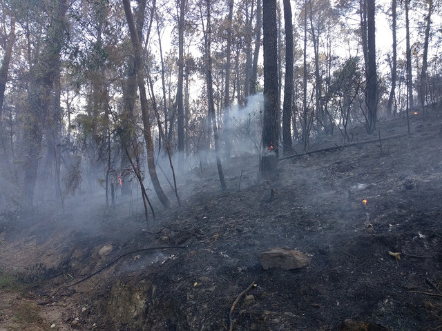 Quân dân oằn mình chiến đấu với giặc lửa suốt 3 ngày ở Hà Tĩnh - Hình 11 Quan dan oan minh chien dau voi giac lua suot 3 ngay o Ha Tinh-Hinh-11