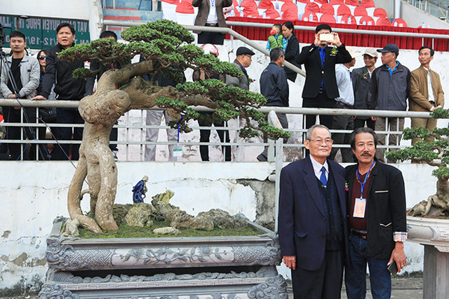 Choáng váng gốc cây thời xưa bỏ đi, nay đắt hơn vàng Choang vang goc cay thoi xua bo di, nay dat hon vang