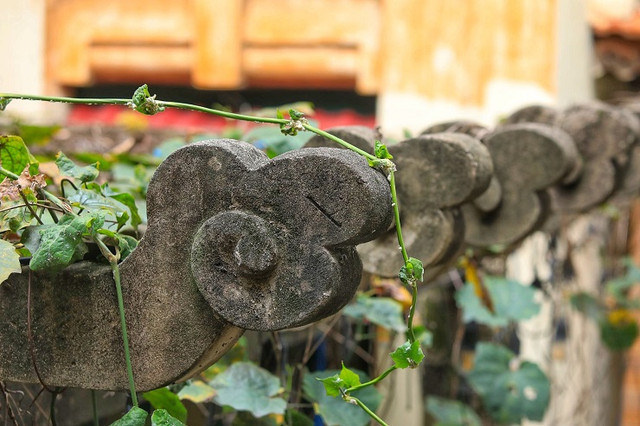 Bên trong biệt thự cổ của ông chủ ngành in “nức tiếng” Hà Nội - Hình 13 Ben trong biet thu co cua ong chu nganh in “nuc tieng” Ha Noi-Hinh-13