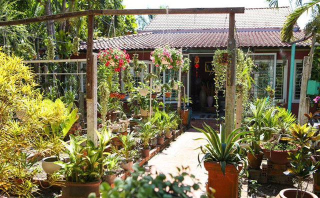 Cận cảnh nhà vườn bạt ngàn 3.000m2 của ca sĩ Phi Hùng - Hình 5 Can canh nha vuon bat ngan 3.000m2 cua ca si Phi Hung-Hinh-5