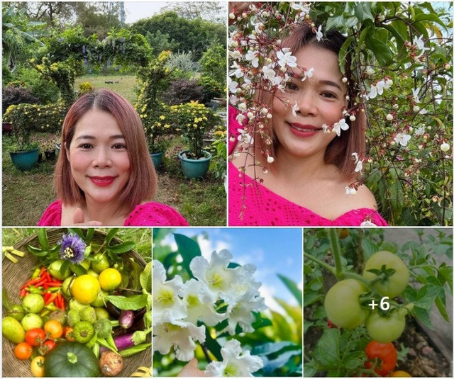 Choáng ngợp khu vườn hàng nghìn m2 của ca sĩ Mỹ Lệ - Hình 8 Choang ngop khu vuon hang nghin m2 cua ca si My Le-Hinh-8