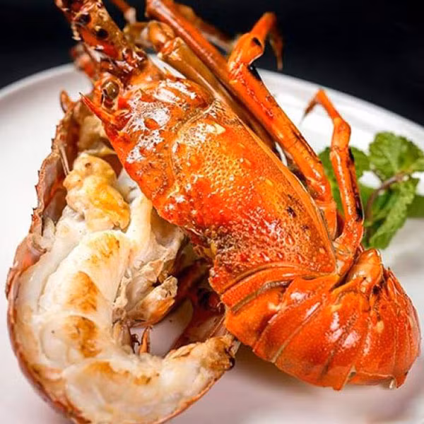 So phan tom hum tung 