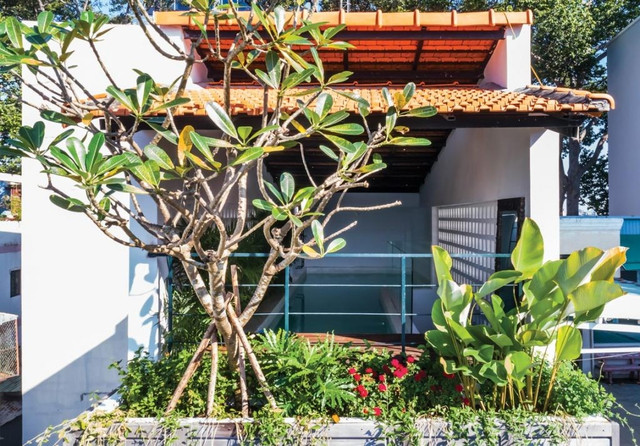 Xem căn nhà trong hẻm chỉ rộng 3m nhưng chẳng khác gì resort - Hình 15 Xem can nha trong hem chi rong 3m nhung chang khac gi resort-Hinh-15