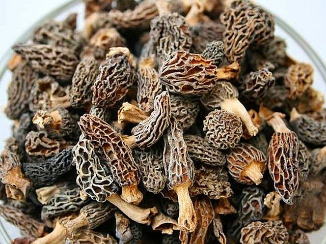 Nấm bụng dê đặc biệt như nào mà có giá 15 triệu đồng/kg? - Hình 3 Nam bung de dac biet nhu nao ma co gia 15 trieu dong/kg?-Hinh-3