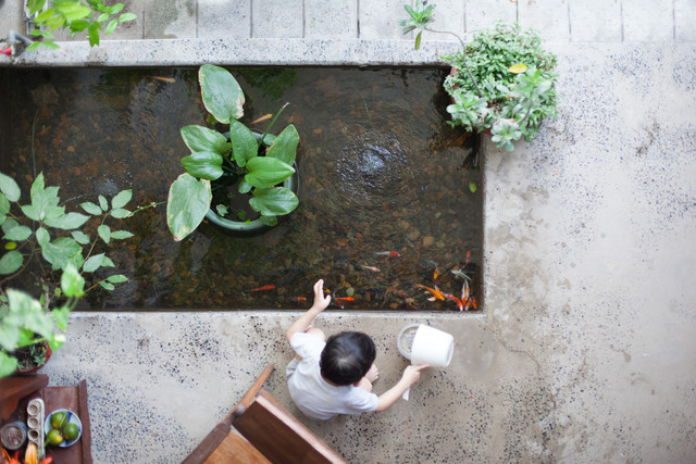 Cận cảnh ngôi nhà 'biết thở' giữa Sài thành - Hình 13 Can canh ngoi nha 'biet tho' giua Sai thanh-Hinh-13