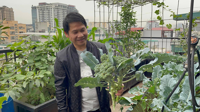 Xem noi dang mo uoc cua 'Vua nhac do' Trong Tan-Hinh-6