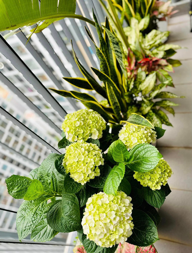 Cận cảnh căn hộ hơn 100m2 đẹp như mơ của nữ chính Nhật ký Vàng Anh - Hình 7 Can canh can ho hon 100m2 dep nhu mo cua nu chinh Nhat ky Vang Anh-Hinh-7