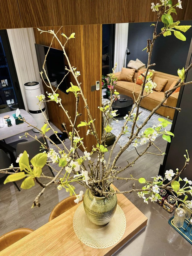 Cận cảnh căn hộ hơn 100m2 đẹp như mơ của nữ chính Nhật ký Vàng Anh - Hình 10 Can canh can ho hon 100m2 dep nhu mo cua nu chinh Nhat ky Vang Anh-Hinh-10