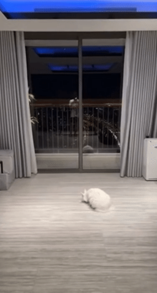 Bên trong căn hộ 5 sao view bạc tỷ của MC Trấn Thành - Hình 4 Ben trong can ho 5 sao view bac ty cua MC Tran Thanh-Hinh-4