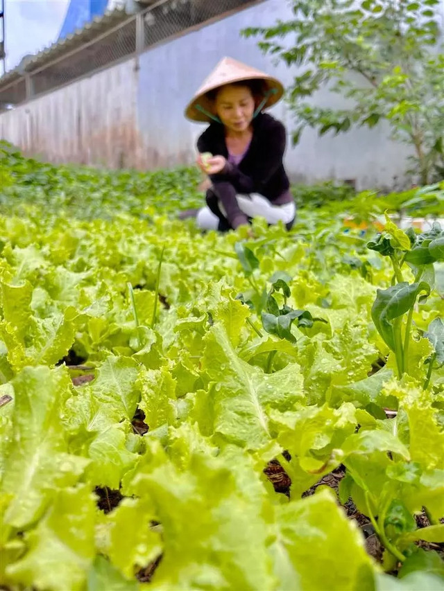 Bố mẹ Hồ Ngọc Hà sở hữu biệt thự 20 tỷ khủng cỡ nào? - Hình 6 Bo me Ho Ngoc Ha so huu biet thu 20 ty khung co nao?-Hinh-6