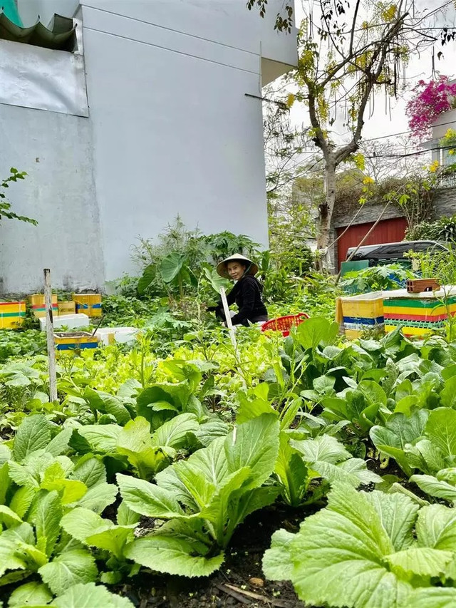 Bố mẹ Hồ Ngọc Hà sở hữu biệt thự 20 tỷ khủng cỡ nào? - Hình 7 Bo me Ho Ngoc Ha so huu biet thu 20 ty khung co nao?-Hinh-7