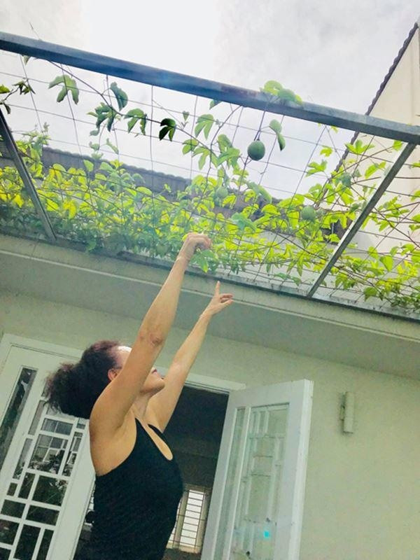 Bố mẹ Hồ Ngọc Hà sở hữu biệt thự 20 tỷ khủng cỡ nào? - Hình 9 Bo me Ho Ngoc Ha so huu biet thu 20 ty khung co nao?-Hinh-9