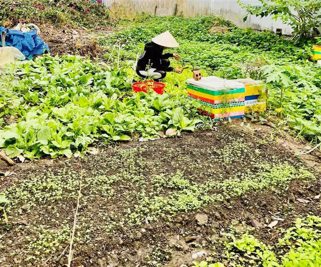 Bố mẹ Hồ Ngọc Hà sở hữu biệt thự 20 tỷ khủng cỡ nào? - Hình 8 Bo me Ho Ngoc Ha so huu biet thu 20 ty khung co nao?-Hinh-8