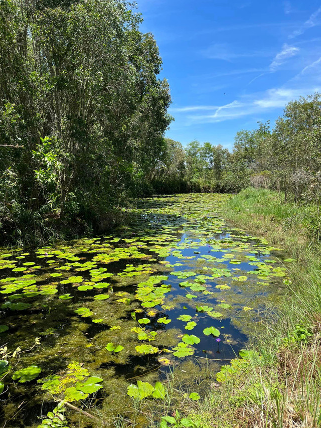 Bên trong trang trại đẹp như tranh của BTV Thu Uyên - Hình 3 Ben trong trang trai dep nhu tranh cua BTV Thu Uyen-Hinh-3