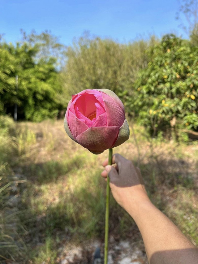 Bên trong trang trại đẹp như tranh của BTV Thu Uyên - Hình 6 Ben trong trang trai dep nhu tranh cua BTV Thu Uyen-Hinh-6