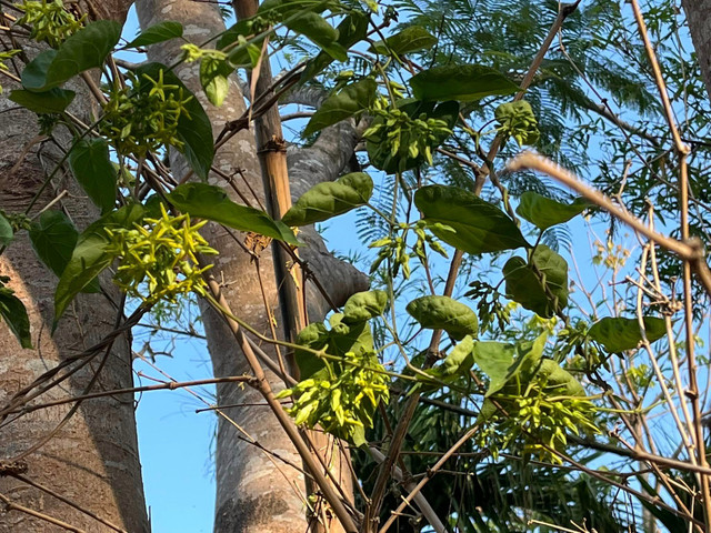 Bên trong trang trại đẹp như tranh của BTV Thu Uyên - Hình 11 Ben trong trang trai dep nhu tranh cua BTV Thu Uyen-Hinh-11