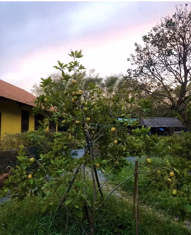 Ben trong trang trai dep nhu tranh cua BTV Thu Uyen-Hinh-13