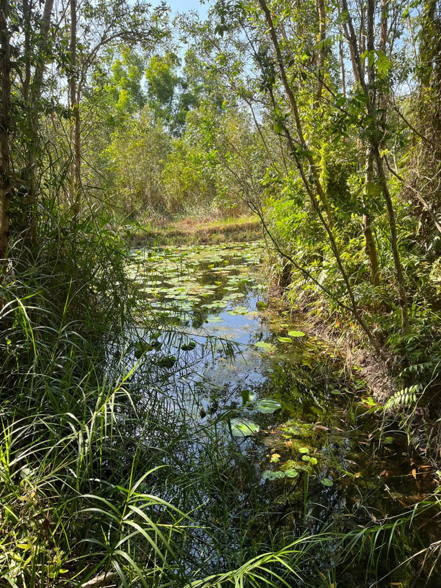 Bên trong trang trại đẹp như tranh của BTV Thu Uyên - Hình 14 Ben trong trang trai dep nhu tranh cua BTV Thu Uyen-Hinh-14