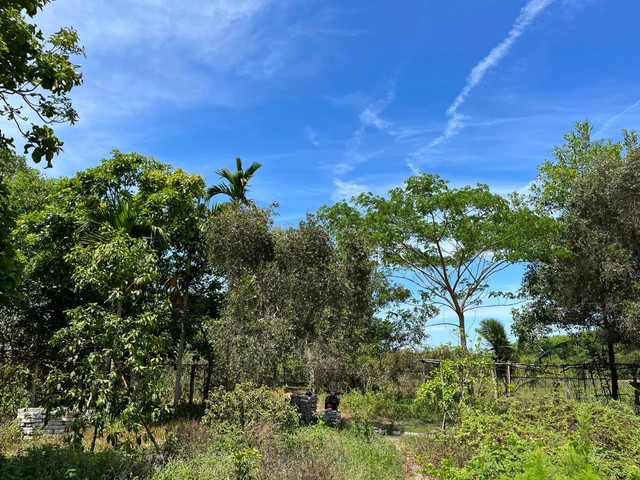 Bên trong trang trại đẹp như tranh của BTV Thu Uyên - Hình 4 Ben trong trang trai dep nhu tranh cua BTV Thu Uyen-Hinh-4