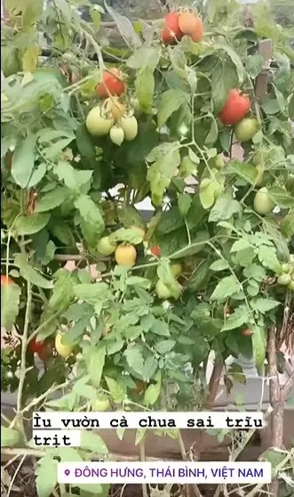 Gia đình nhà chồng của Hoa hậu Ngọc Hân sở hữu biệt thự sang trọng như nào? - Hình 8 Gia dinh nha chong cua Hoa hau Ngoc Han so huu biet thu sang trong nhu nao?-Hinh-8