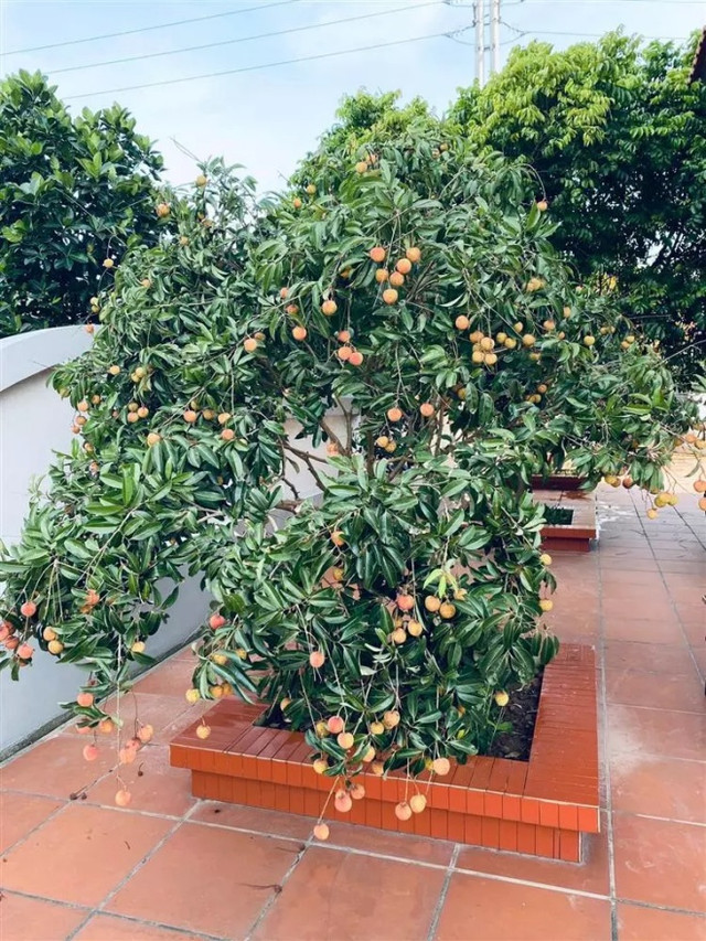 Gia đình nhà chồng của Hoa hậu Ngọc Hân sở hữu biệt thự sang trọng như nào? - Hình 6 Gia dinh nha chong cua Hoa hau Ngoc Han so huu biet thu sang trong nhu nao?-Hinh-6