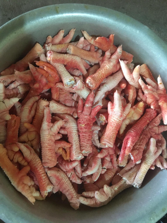 Chân gà Đông Tảo tiền triệu đắt khách mùa World Cup có thể từ gà bệnh, chết - Hình 3 Chan ga Dong Tao tien trieu dat khach mua World Cup co the tu ga benh, chet-Hinh-3