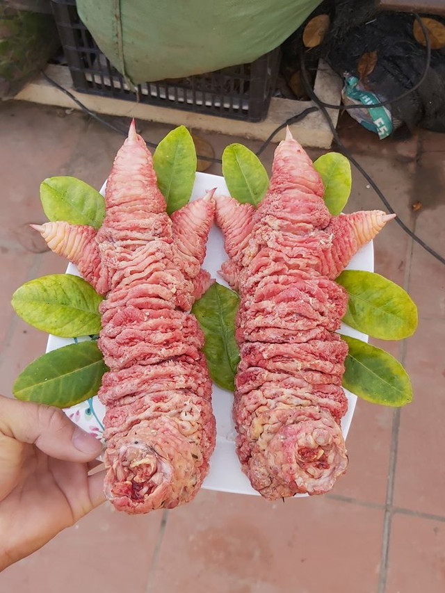 Chân gà Đông Tảo tiền triệu đắt khách mùa World Cup có thể từ gà bệnh, chết - Hình 10 Chan ga Dong Tao tien trieu dat khach mua World Cup co the tu ga benh, chet-Hinh-10