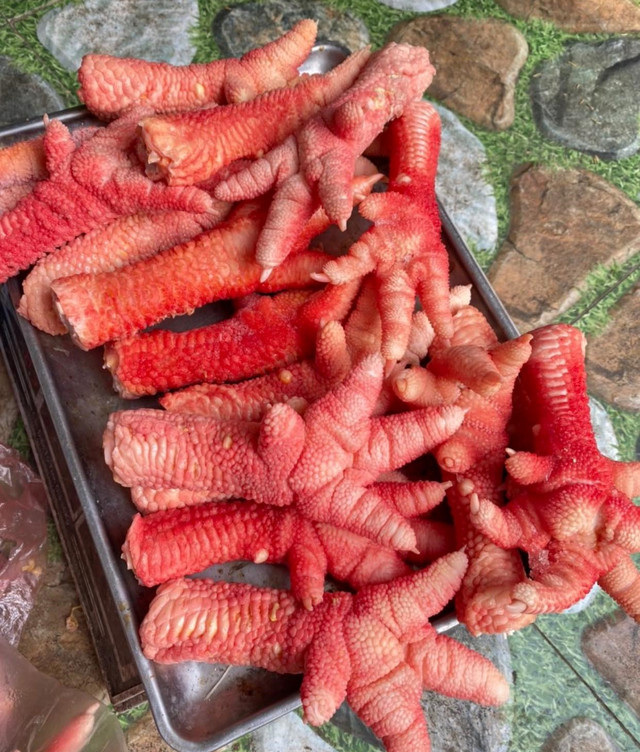 Chân gà Đông Tảo tiền triệu đắt khách mùa World Cup có thể từ gà bệnh, chết - Hình 5 Chan ga Dong Tao tien trieu dat khach mua World Cup co the tu ga benh, chet-Hinh-5