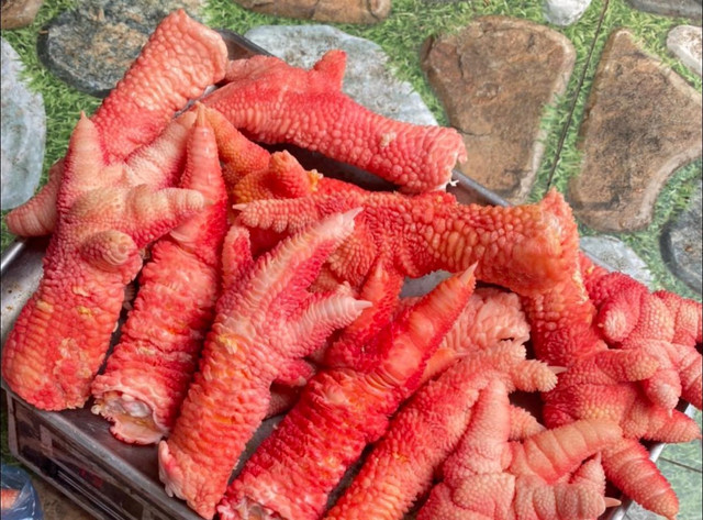 Chân gà Đông Tảo tiền triệu đắt khách mùa World Cup có thể từ gà bệnh, chết - Hình 6 Chan ga Dong Tao tien trieu dat khach mua World Cup co the tu ga benh, chet-Hinh-6