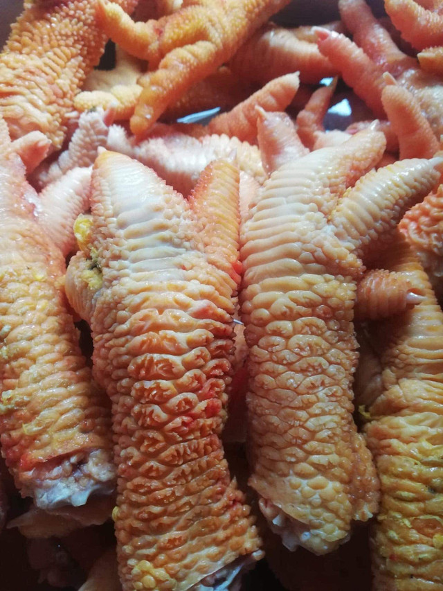 Chân gà Đông Tảo tiền triệu đắt khách mùa World Cup có thể từ gà bệnh, chết - Hình 11 Chan ga Dong Tao tien trieu dat khach mua World Cup co the tu ga benh, chet-Hinh-11