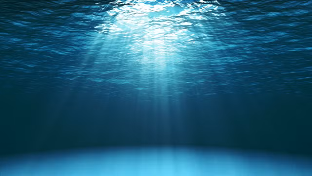 Nhung dieu thu vi ve vang khien con nguoi ngac nhien-Hinh-7