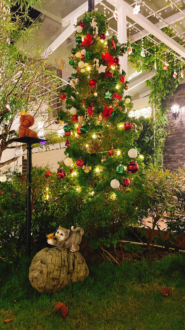 Đi thăm biệt thự khủng của Kiều Linh - Hình 9 Di tham biet thu khung cua Kieu Linh-Hinh-9