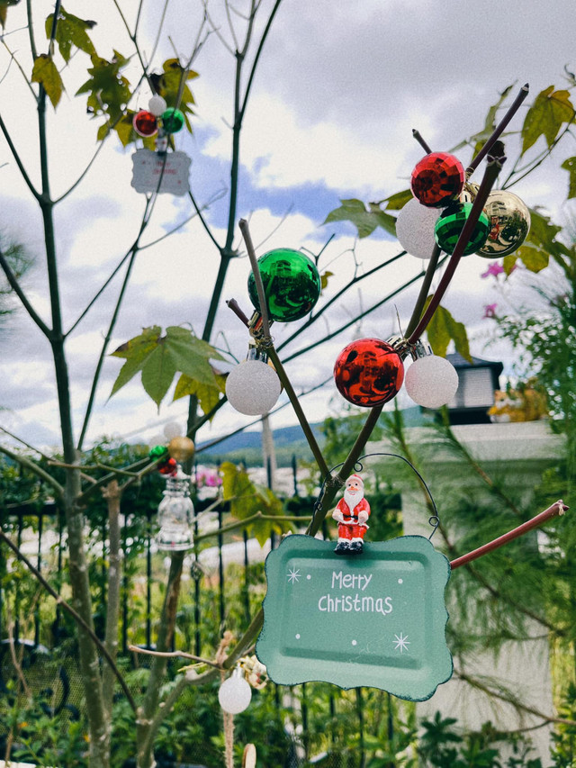 Đi thăm biệt thự khủng của Kiều Linh - Hình 3 Di tham biet thu khung cua Kieu Linh-Hinh-3