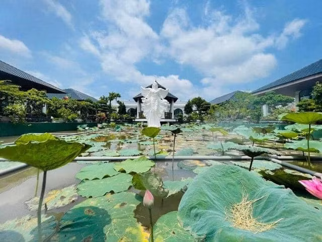 Tan muc biet phu nha vuon gay sot o Thanh Hoa-Hinh-6