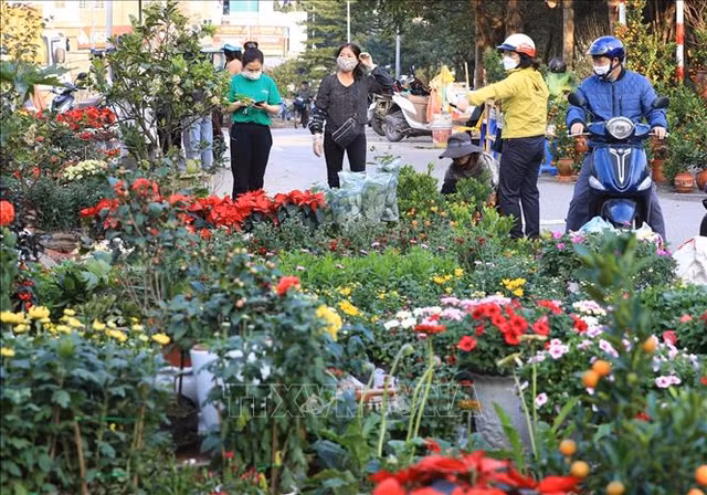 Danh sach 5 cho hoa Tet noi tieng o Ha Noi-Hinh-5