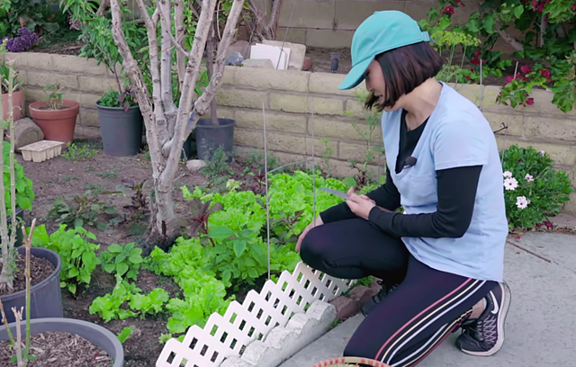 Cận cảnh khu vườn ngập hoa trong biệt thự của Hồng Đào - Hình 10 Can canh khu vuon ngap hoa trong biet thu cua Hong Dao-Hinh-10