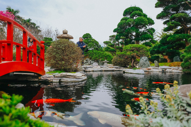 Di xem can biet thu co mot khong hai cua Pho Chu tich FPT-Hinh-5