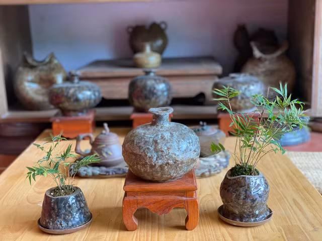 Lai xuat hien trao luu tre bonsai sieu doc choi Tet-Hinh-7
