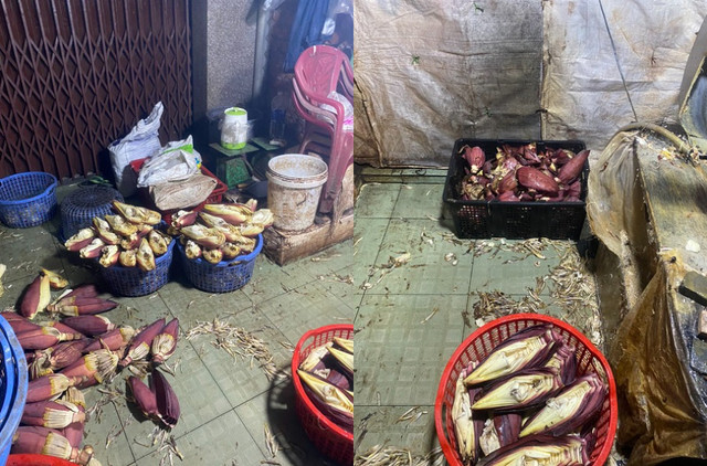 Tiêu huỷ hàng tấn bắp chuối, rau muống bị ngâm hoá chất độc hại Tieu huy hang tan bap chuoi, rau muong bi ngam hoa chat doc hai