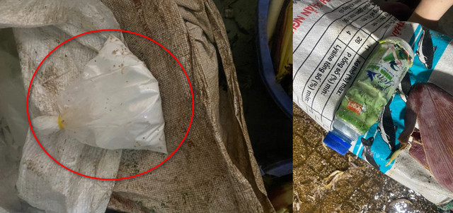 Tiêu huỷ hàng tấn bắp chuối, rau muống bị ngâm hoá chất độc hại - Hình 2 Tieu huy hang tan bap chuoi, rau muong bi ngam hoa chat doc hai-Hinh-2