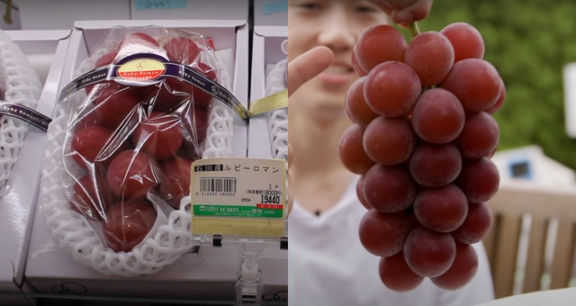 Sự thật về nho Ruby Roman rẻ giật mình, rao bán tràn chợ mạng Su that ve nho Ruby Roman re giat minh, rao ban tran cho mang
