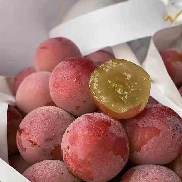 Su that ve nho Ruby Roman re giat minh, rao ban tran cho mang-Hinh-9