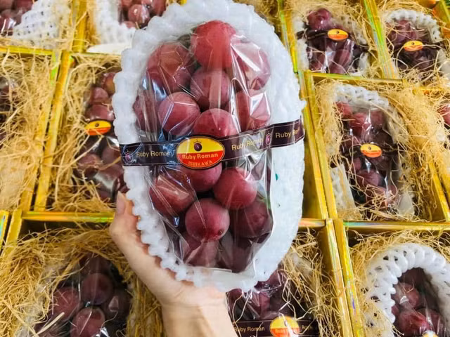 Su that ve nho Ruby Roman re giat minh, rao ban tran cho mang-Hinh-7