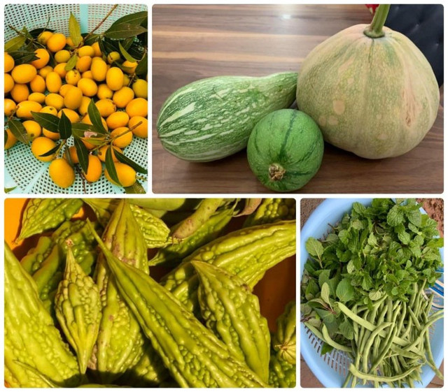 Muot mat voi vuon rau xanh, cay an trai triu qua cua Hoa hau Viet-Hinh-13