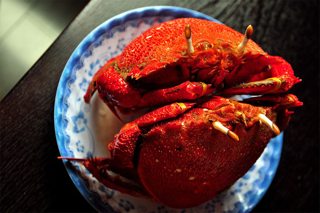 5 loại hải sản đắt đỏ ở các vùng biển đảo Việt Nam - Hình 6 5 loai hai san dat do o cac vung bien dao Viet Nam-Hinh-6