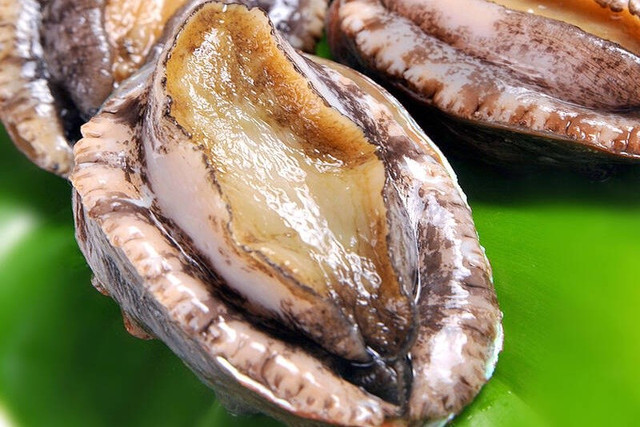 5 loại hải sản đắt đỏ ở các vùng biển đảo Việt Nam - Hình 5 5 loai hai san dat do o cac vung bien dao Viet Nam-Hinh-5