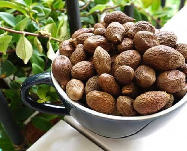Dân Hà thành lùng mua đặc sản hạt đười ươi bất chấp giá cao - Hình 6 Dan Ha thanh lung mua dac san hat duoi uoi bat chap gia cao-Hinh-6