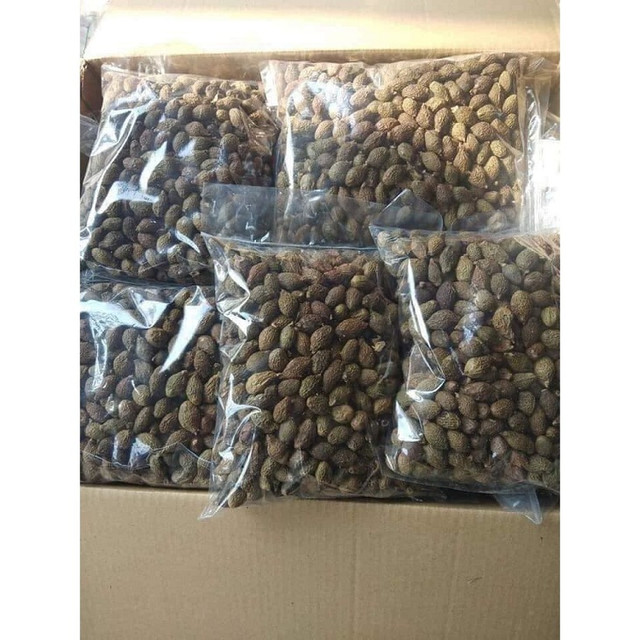 Dân Hà thành lùng mua đặc sản hạt đười ươi bất chấp giá cao - Hình 7 Dan Ha thanh lung mua dac san hat duoi uoi bat chap gia cao-Hinh-7
