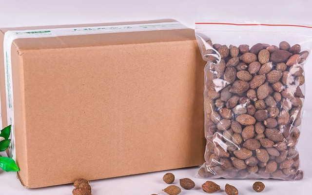 Dân Hà thành lùng mua đặc sản hạt đười ươi bất chấp giá cao Dan Ha thanh lung mua dac san hat duoi uoi bat chap gia cao