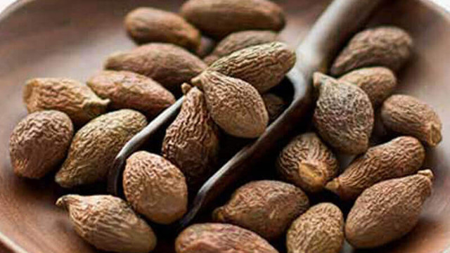 Dân Hà thành lùng mua đặc sản hạt đười ươi bất chấp giá cao - Hình 4 Dan Ha thanh lung mua dac san hat duoi uoi bat chap gia cao-Hinh-4